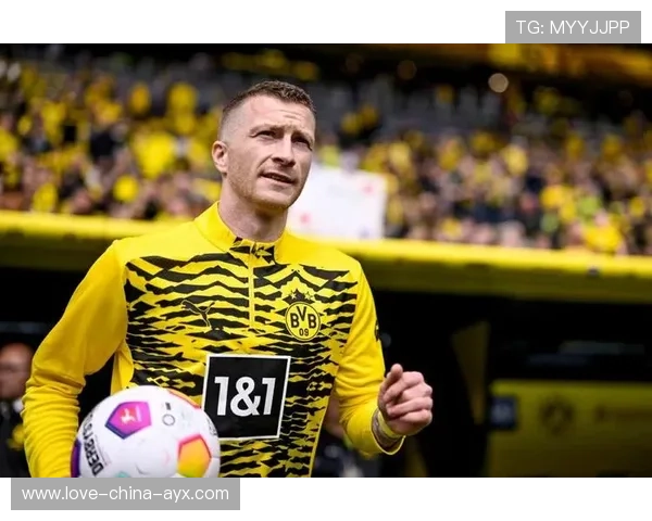 多特罗伊斯远射弧线美如画直挂死角