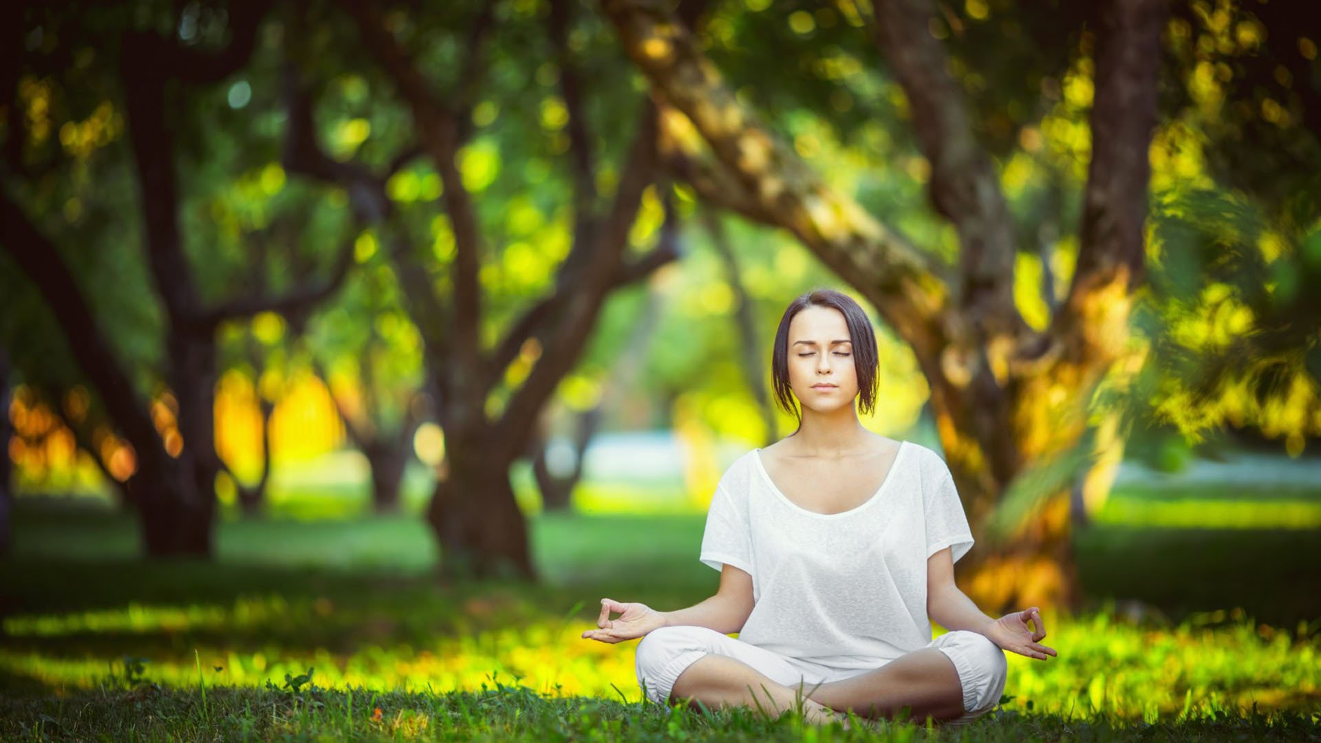 世界保龄球高校联赛赛季优秀球员技术档案发布,保龄球世界锦标赛